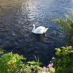Ryan's River 3*