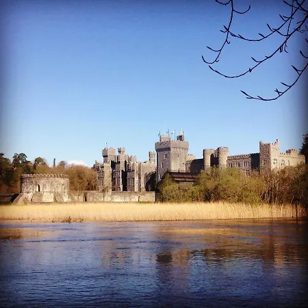 B&B Ryan's River 콩