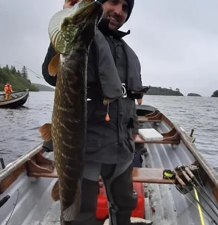 Bed & Breakfast Ryan's River