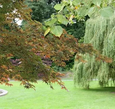 B&B Ryan's River 콩