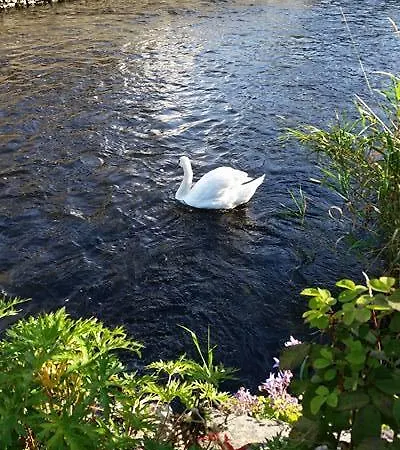 Ryan's River 3*