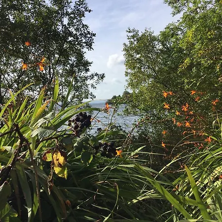 Ryan's River 3* קונג