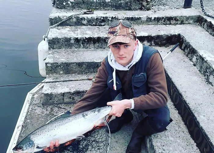 B&B Ryan's River 콩