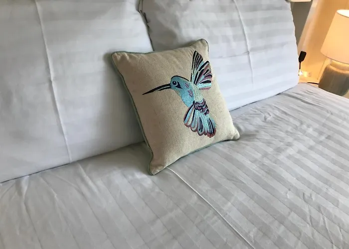 B&B Ryan's River 콩