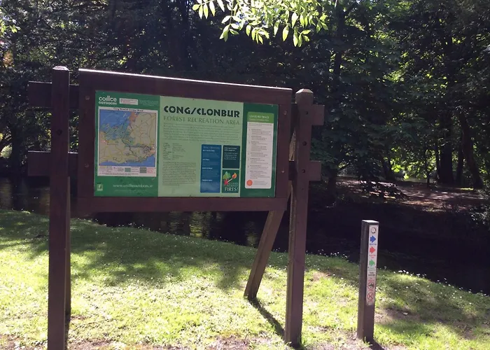 Ryan's River B&B 콩