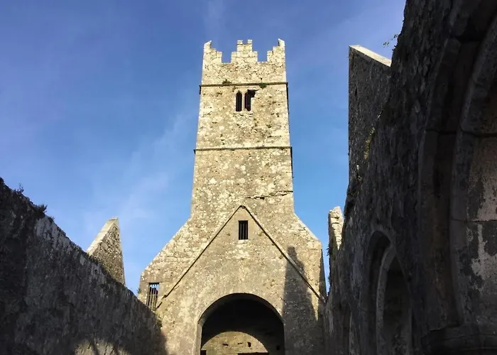 B&B Ryan's River 콩