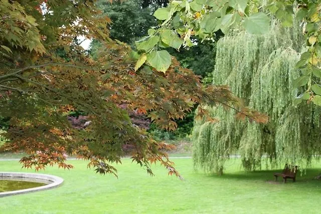 B&B Ryan's River 콩