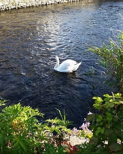 Ryan's River 3*